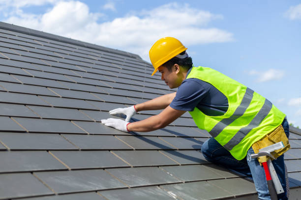 Best Roof Gutter Cleaning  in Fincastle, TN
