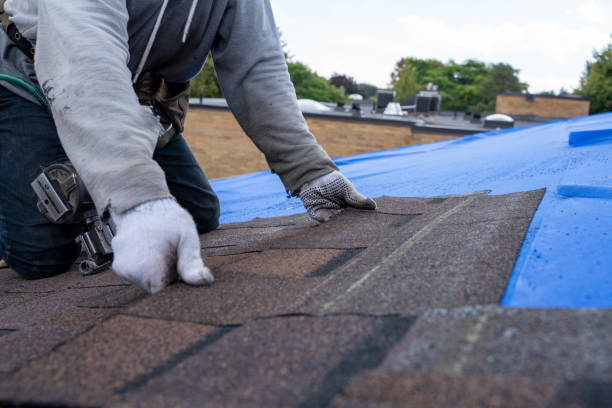 Best Roof Repair Services  in Fincastle, TN