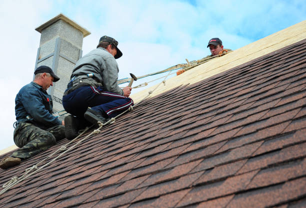 Best Roof Gutter Cleaning  in Fincastle, TN